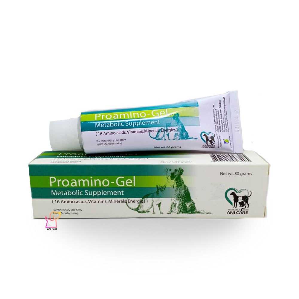 Proamino Gel [80g] เจลเสริม ภูมิคุ้มกัน อาหารเสริมสัตว์ป่วย