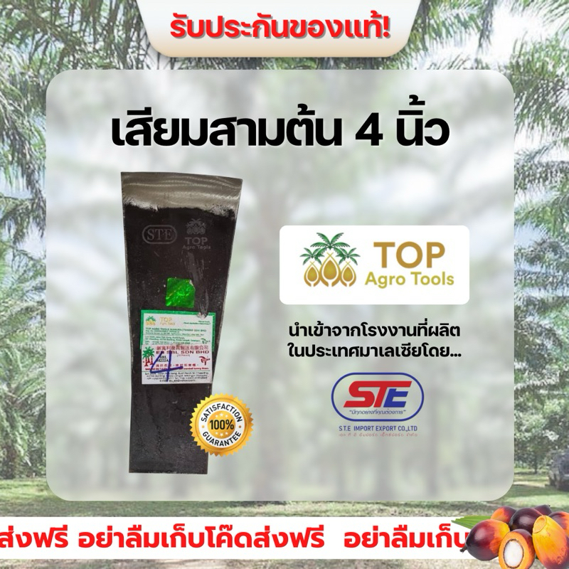 เสียมสามต้น 4 นิ้ว (TOP) ของแท้นำเข้าจากประเทศมาเลเซีย