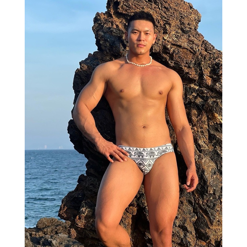 RYU Thai elephant V2