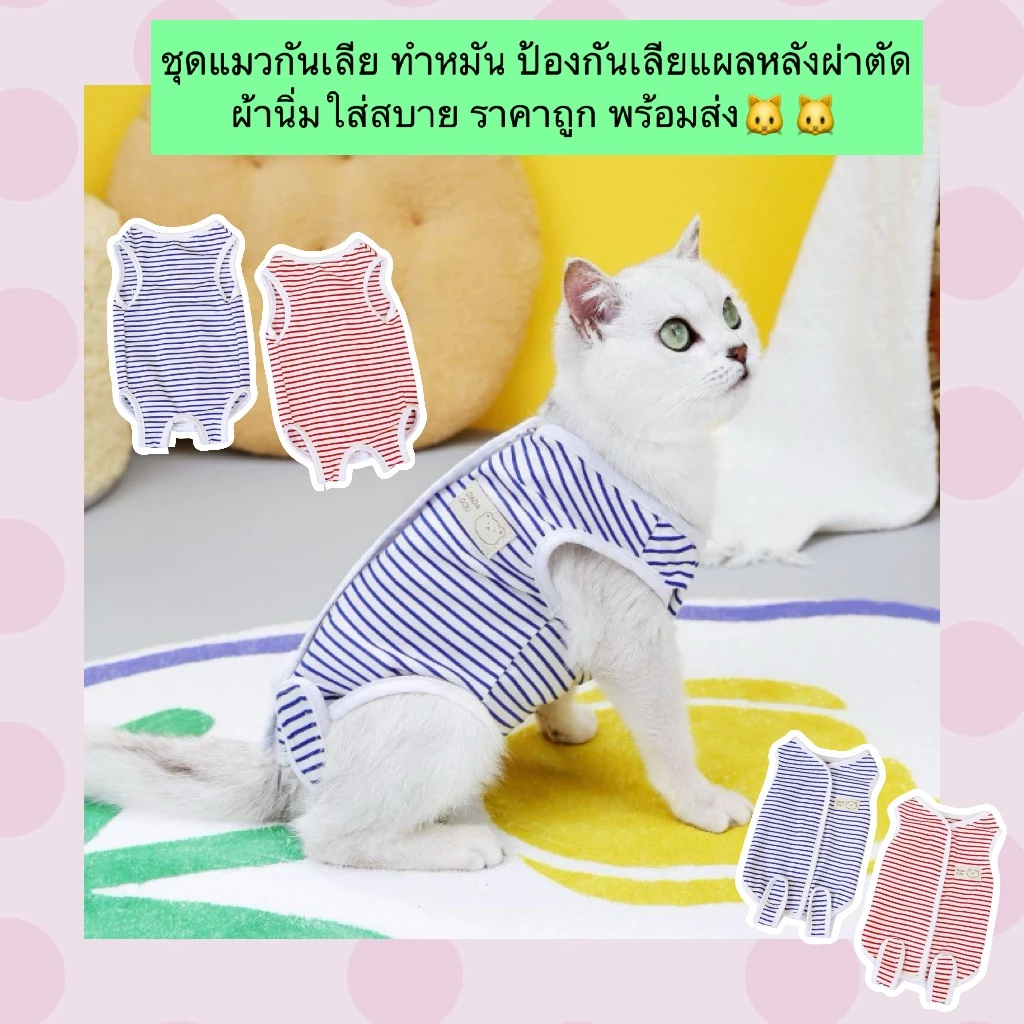 PP-887 ชุดกันเลียสำหรับแมว หลังผ่าตัดทำหมัน ช่วยป้องกันไม่ให้เลียแผล ผลิตจากผ้านุ่ม ใส่สบาย ราคาประหยัด พร้อมส่ง 🐱🐱