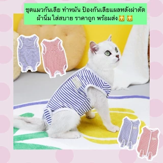 PP-887 ชุดกันเลียสำหรับแมว หลังผ่าตัดทำหมัน ช่วยป้องกันไม่ให้เลียแผล ผลิตจากผ้านุ่ม ใส่สบาย ราคาประหยัด พร้อมส่ง 🐱🐱