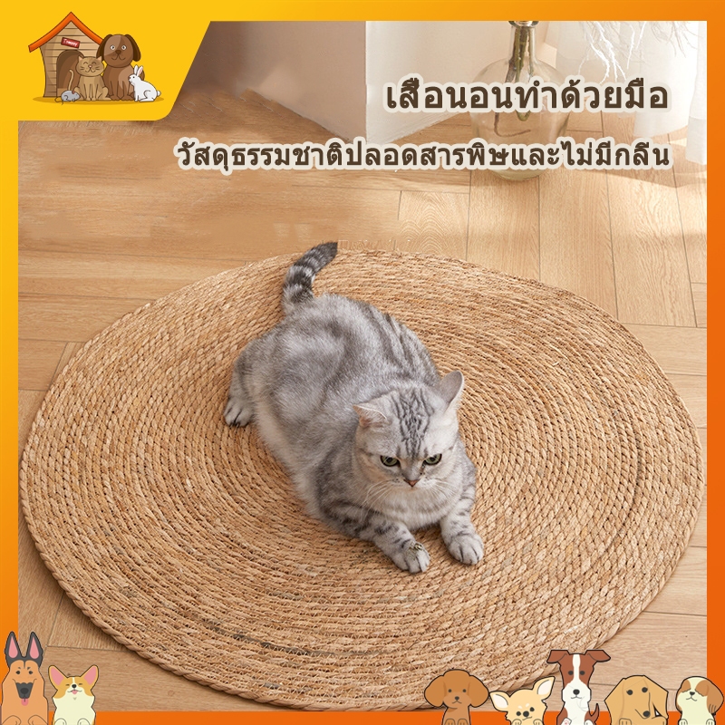 แมว Cat Mat Scratch ลับเล็บแมว คณะกรรมการ ที่ลับเล็บแมว เสื่อลับเล็บแมว แผ่นลับเล็บแมว กันข่วน ของเล่นแมว ที่นอนแมว