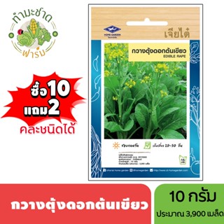 เจียไต๋ (ซื้อ10แถม2) เมล็ดพันธุ์ กวางตุ้งดอกต้นเขียว ขนาด10ก…