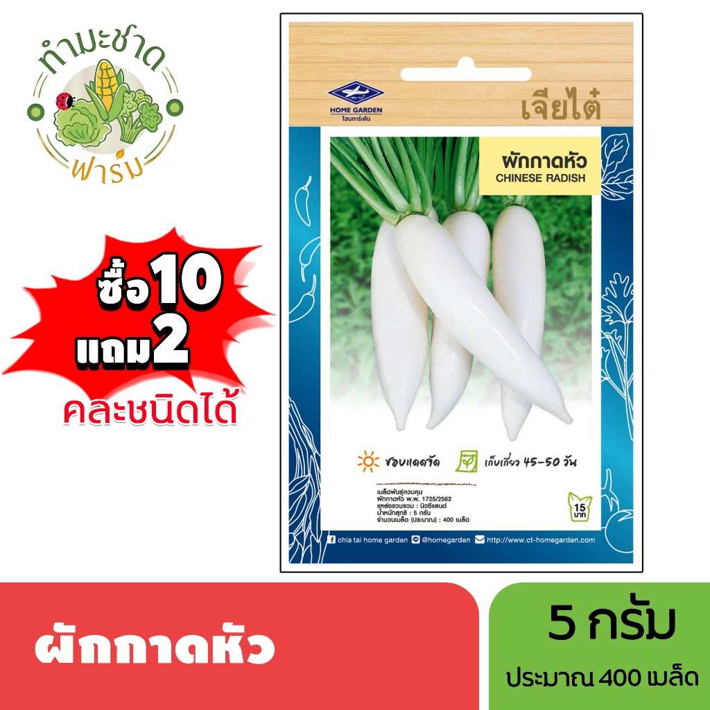 เจียไต๋ (ซื้อ10แถม2) เมล็ดพันธุ์ ผักกาดหัว ขนาด5กรัม ประมาณ400เมล็ด Chinese Radish หัวไชเท้า เมล็ดพันธุ์พืช เมล็ดผัก ปลู