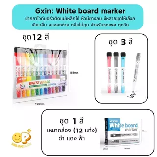 Gxin ปากกาไวท์บอร์ด ยางลบในตัว ติดแม่เหล็กได้ ปลอดสารพิษ กลิ่นไม่ฉุน เขียนลื่น ลบออกง่าย พร้อมส่ง