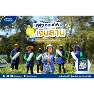 แฟงจอมทัพ 50กรัม เมล็ดพันธุ์ เจียไต๋ Wax Gourd แฟงแก่ เมล็ดพันธุ์แฟง