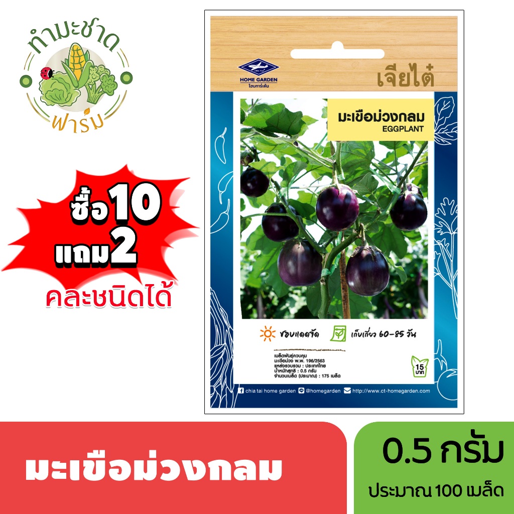 เจียไต๋ (ซื้อ10แถม2) เมล็ดพันธุ์ มะเขือม่วงกลม ขนาด0.5กรัม ประมาณ175เมล็ด Eggplant มะเขือม่วง เมล็ดพันธุ์พืช เมล็ดผัก ปล