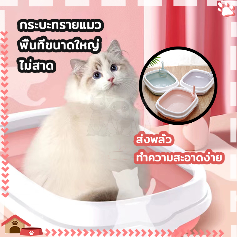 กระบะทรายแมว กระบะทราย พร้อมที่ตักทราย แถมฟรีที่ตักทราย. กบะทรายแมว ตัวฐานและขอบถอดแยกออกมาทำความสะอาดได้
