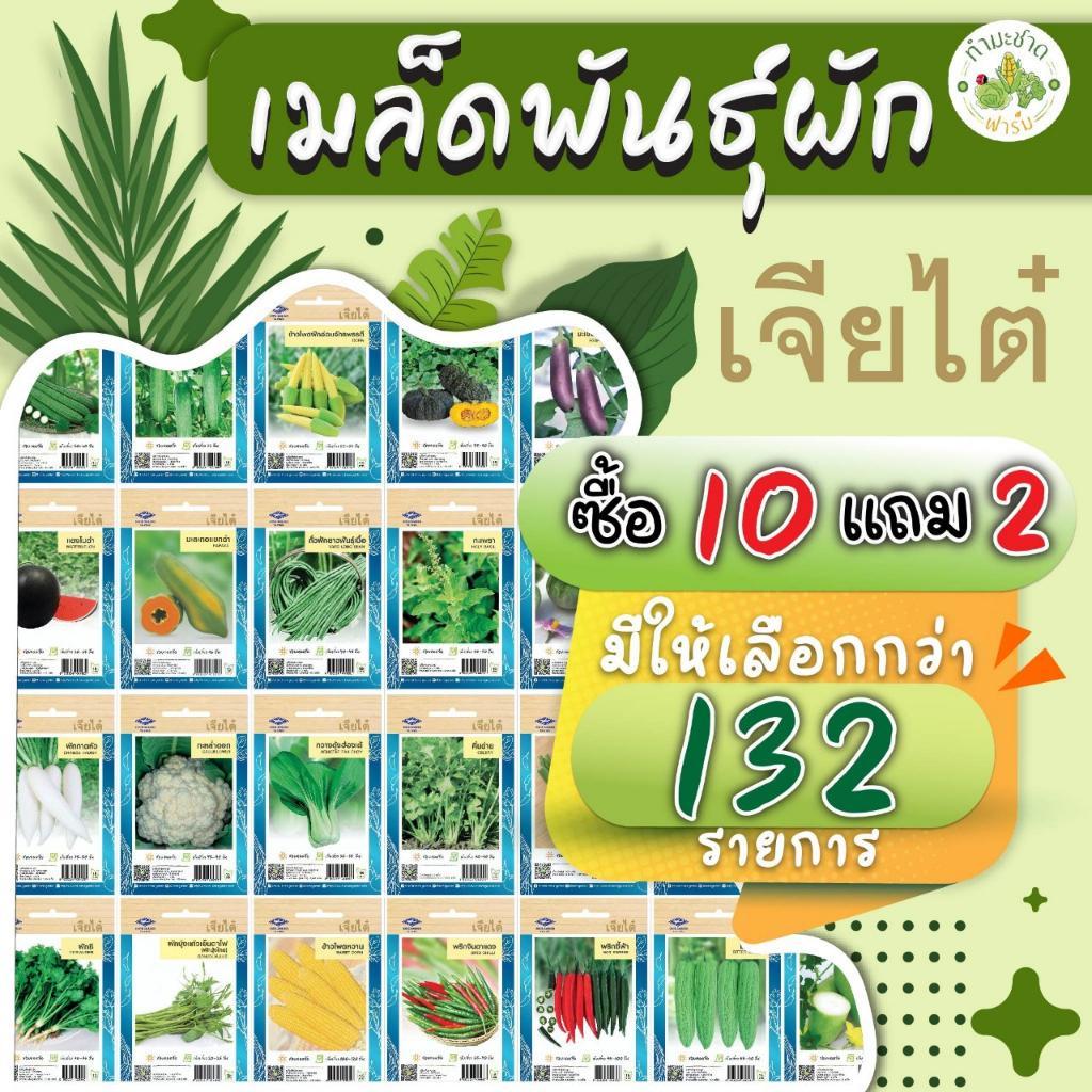 เจียไต๋ (ซื้อ10แถม1) เมล็ดพันธุ์ แตงร้านอมตะ ขนาด2กรัม ประมาณ70เมล็ด Cucumber แตงร้าน เมล็ดพันธุ์พืช เมล็ดผัก ปลูกผักสวน - รูปที่ 3