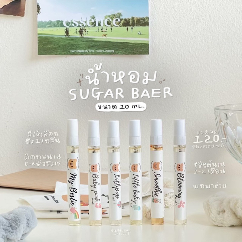 🧸 Sugar Bear 10ml 17กลิ่น น้ำหอมกลิ่นแป้ง ขนม ดอกไม้ พร้อมส่ง
