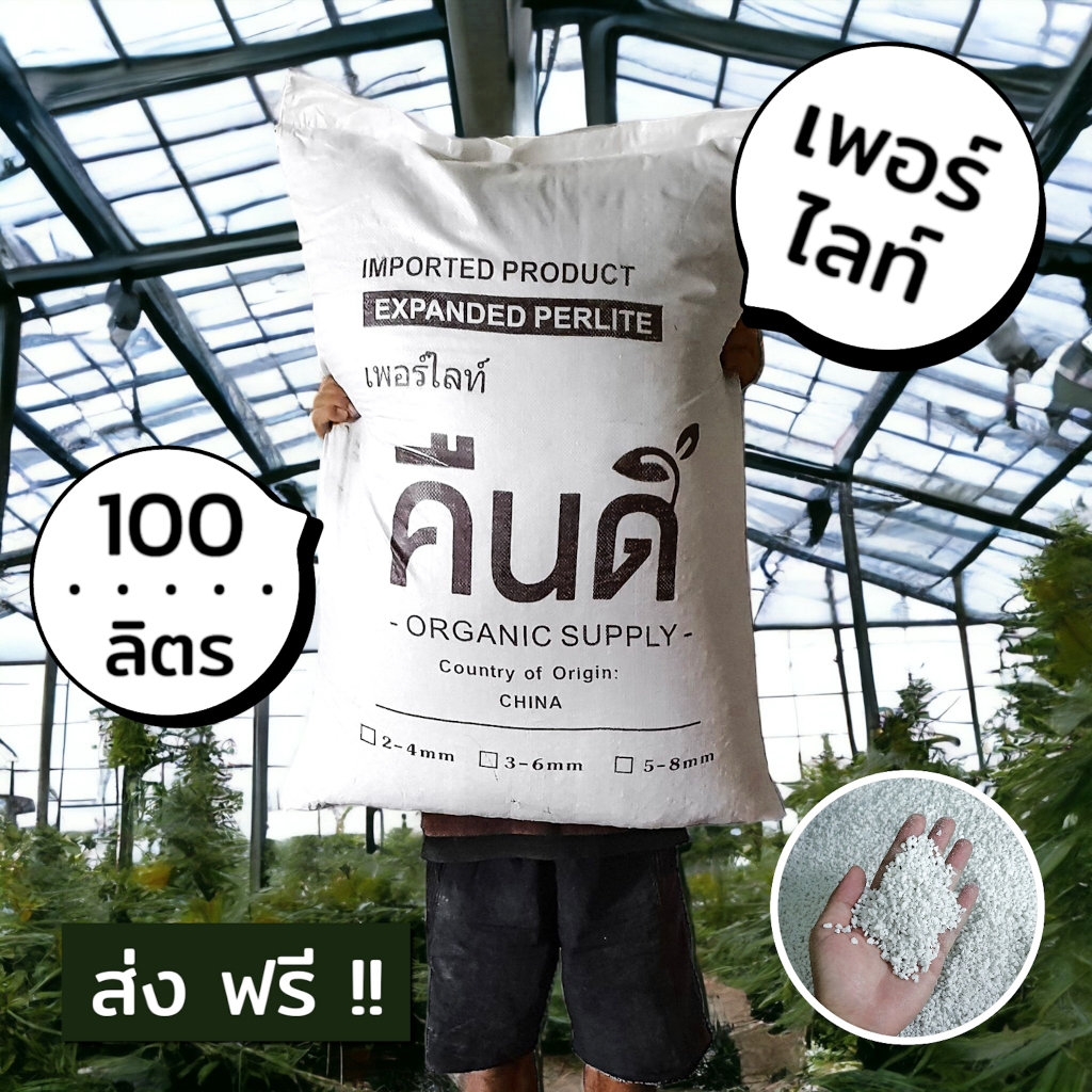 ส่งฟรี ‼️ | เพอร์ไลท์ (Expanded Perlite) | วัสดุผสมดินให้โปร่ง เก็บความชื้น ⚪️