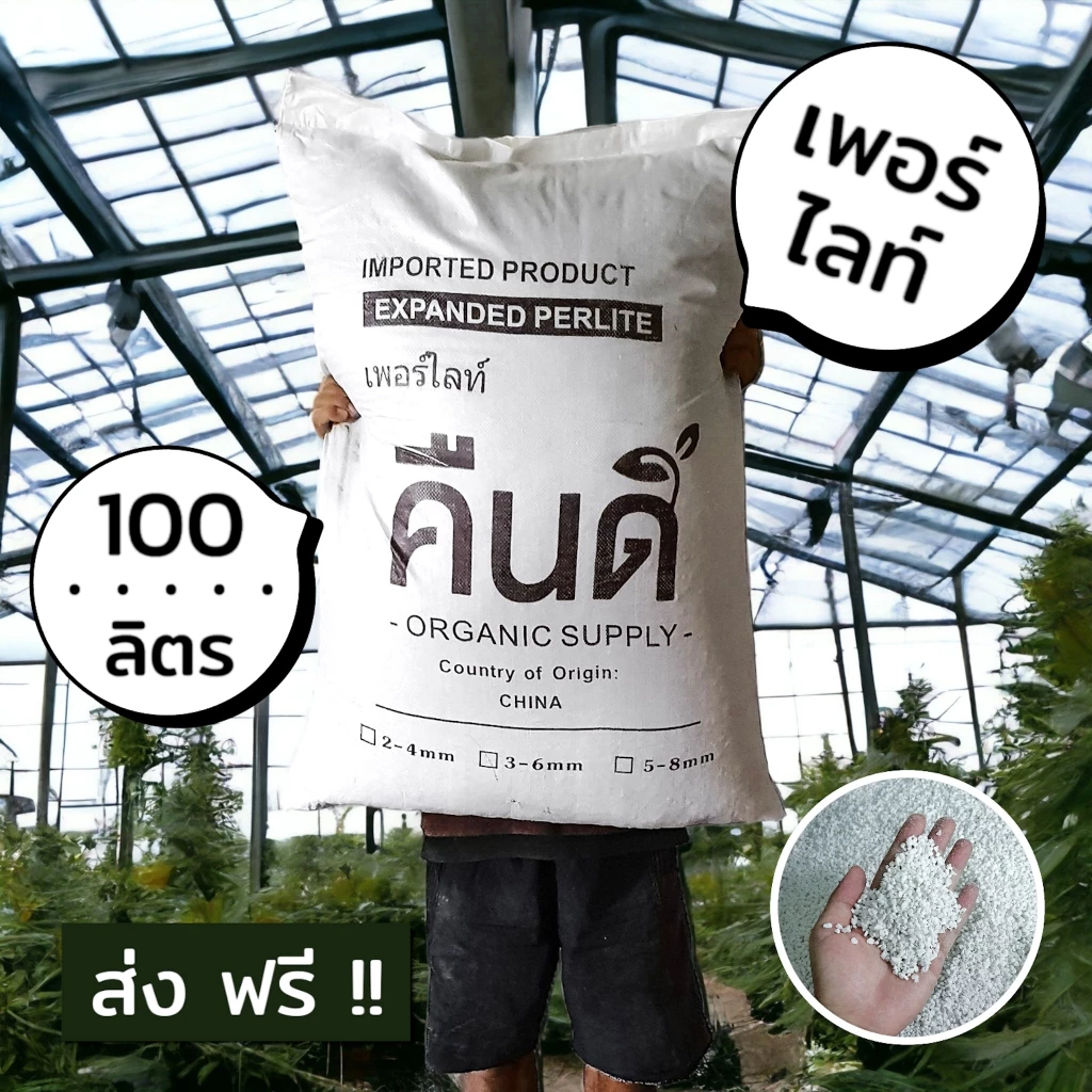 ส่งฟรี ‼️ | เพอร์ไลท์ (Expanded Perlite) | วัสดุผสมดินให้โปร่ง เก็บความชื้น ⚪️