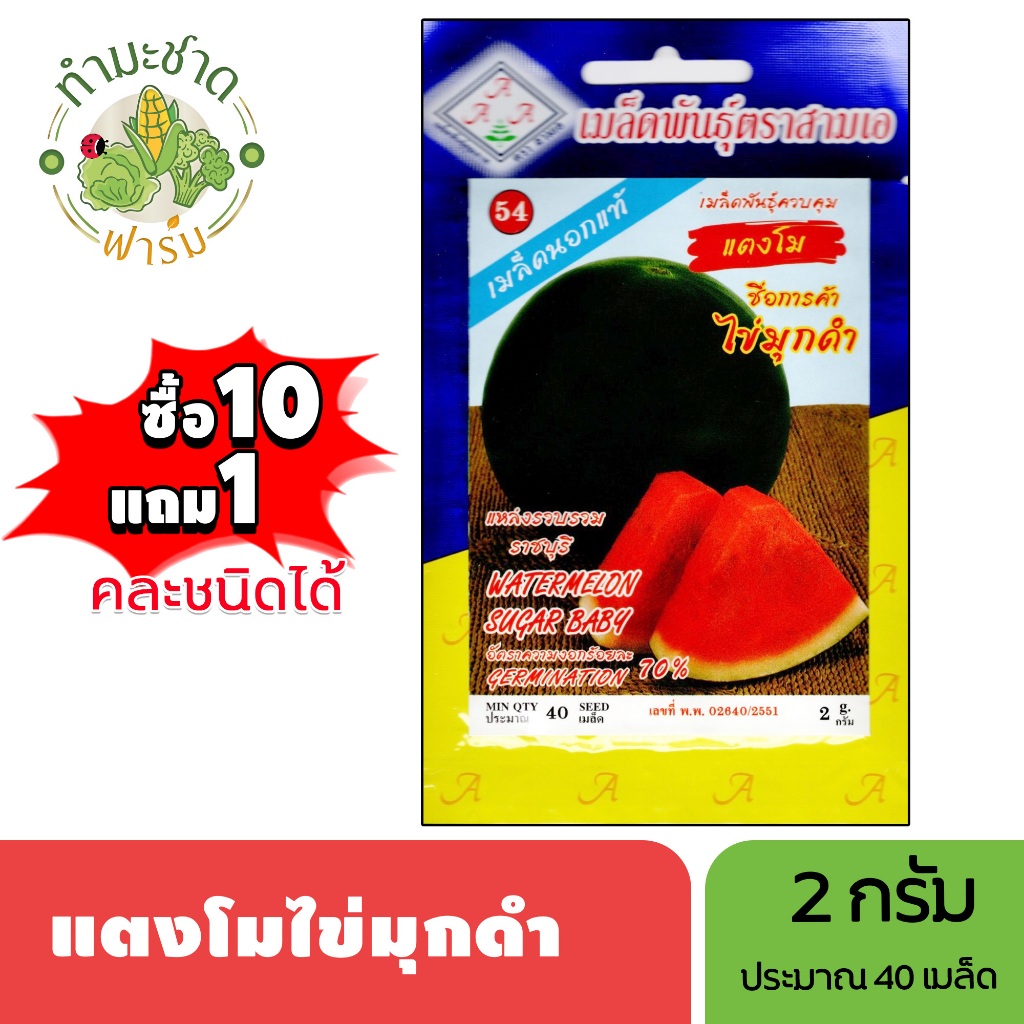 3A (ซื้อ10แถม1) เมล็ดพันธุ์ แตงโมไข่มุกดำ ขนาด2กรัม ประมาณ40เมล็ด WATERMELON SUGAR BABY แตงโม เมล็ดพันธุ์พืช เมล็ดผัก
