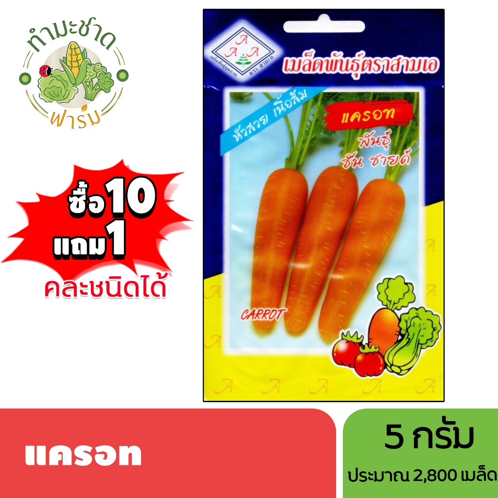 3A (ซื้อ10แถม1) เมล็ดพันธุ์ แครอท ขนาด5กรัม ประมาณ2,800เมล็ด CARROT ผักกาดแดง ผักกาดเหลือง ผักชีแดง เมล็ดพันธุ์พืช เมล็ด
