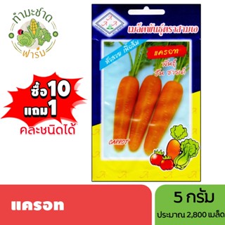 3A (ซื้อ10แถม1) เมล็ดพันธุ์ แครอท ขนาด5กรัม ประมาณ2,800เมล็ด…