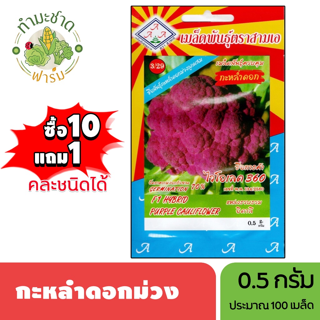 3A (ซื้อ10แถม1) เมล็ดพันธุ์ กะหล่ำดอกม่วง ขนาด0.5กรัม ประมาณ100เมล็ด PURPLE CAULIFLOWER กะหล่ำ เมล็ดพันธุ์พืช เมล็ดผัก