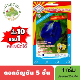 3A (ซื้อ10แถม1) เมล็ดพันธุ์ ดอกอัญชัน 5 ชั้น ขนาด1กรัม ประมา…