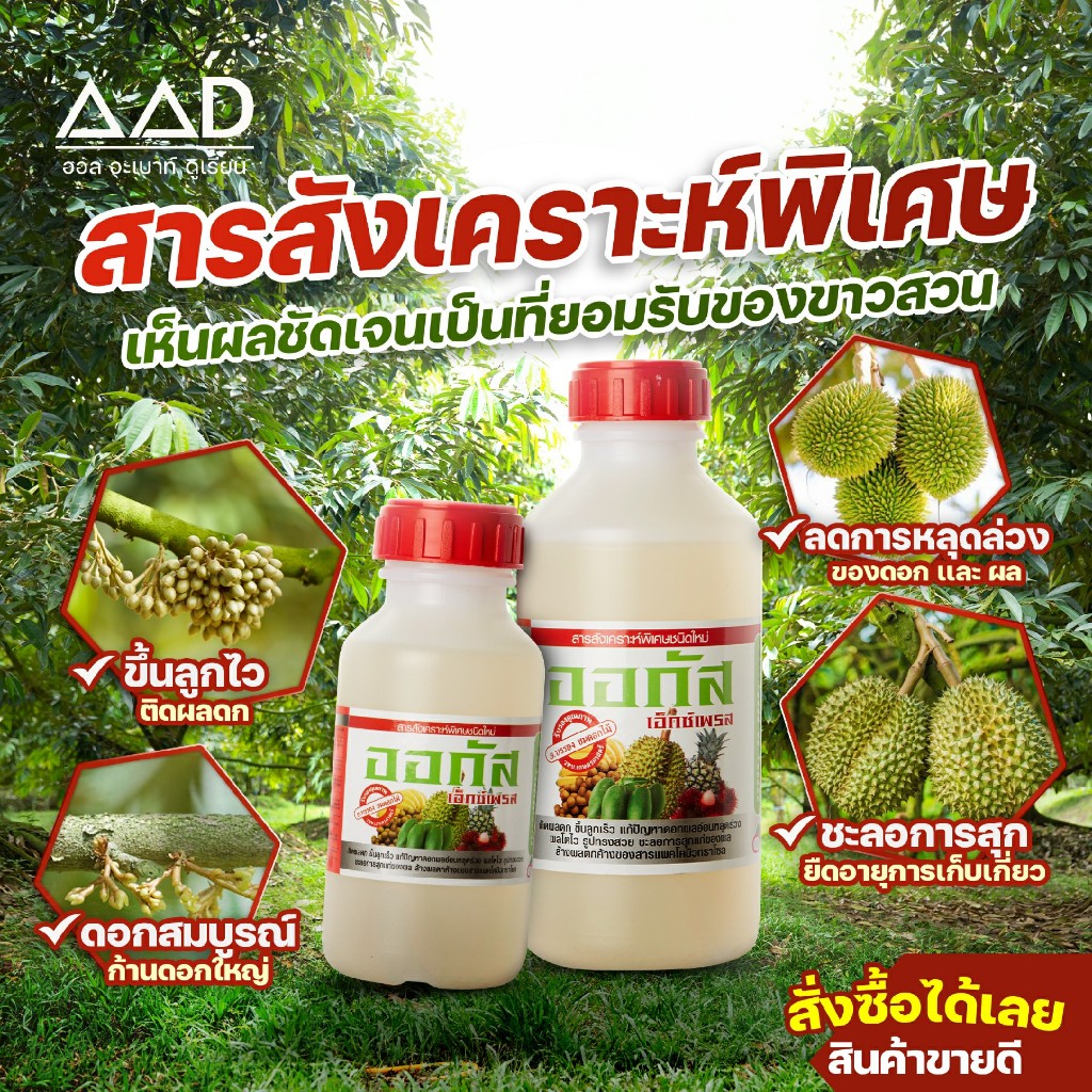 ออกัส เอ็กซ์เพรส สารสังเคราะห์พิเศษชนิดใหม่
