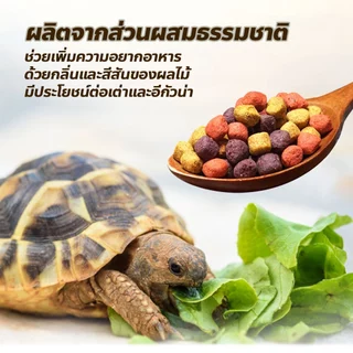 allgen อาหารเต่าบก อิกัวน่า Mix Fruit สูตรผลไม้รวม
