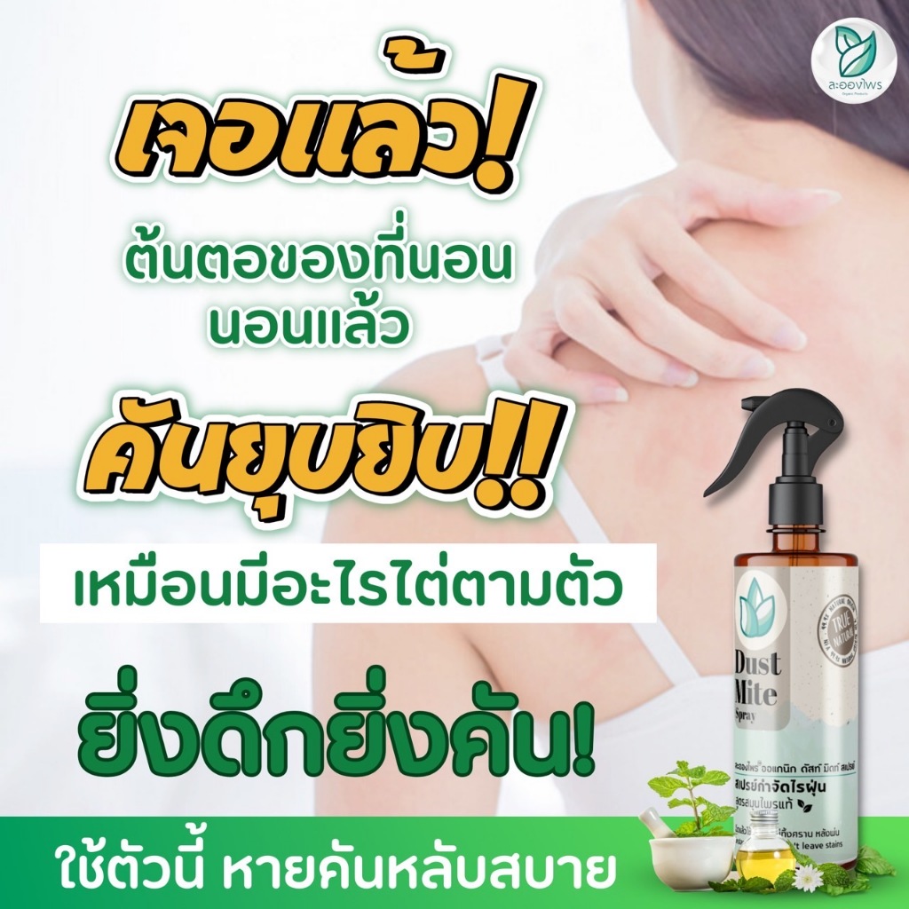 ละอองไพร สเปรย์กำจัดไรฝุ่น สูตรสมุนไพร ละอองไพร - 2