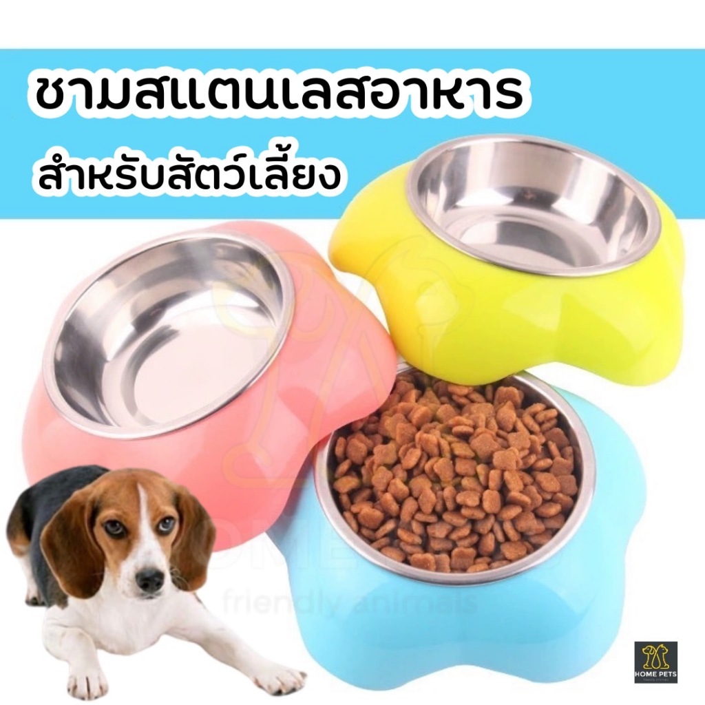(คละสี)ชามน้องหมาน้องแมว ทรงกลมกลีบดอกไม้ ชามอเนกประสงค์ชามสแตนเลสสามารถถอดออกมาล้างได้ชามสัตว์เลี้ยง