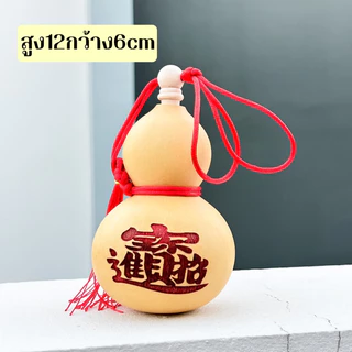 น้ำเต้าไม้ (ของแท้) น้ำเต้ามงคลดูดทรัพย์ ใบใหญ่