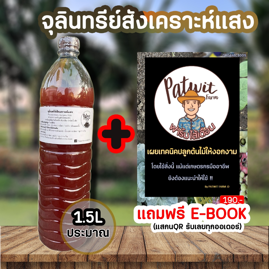 PSB จุลินทรีย์สังเคราะห์แสง1500ml. สูตรเข้มข้นสีแดงสด ใช้ขยายเชื้อต่อได้ไม่รู้จบ บ่อปลา ไข่ผำ ไม้ดอกไม้ประดับ ผักสลัด