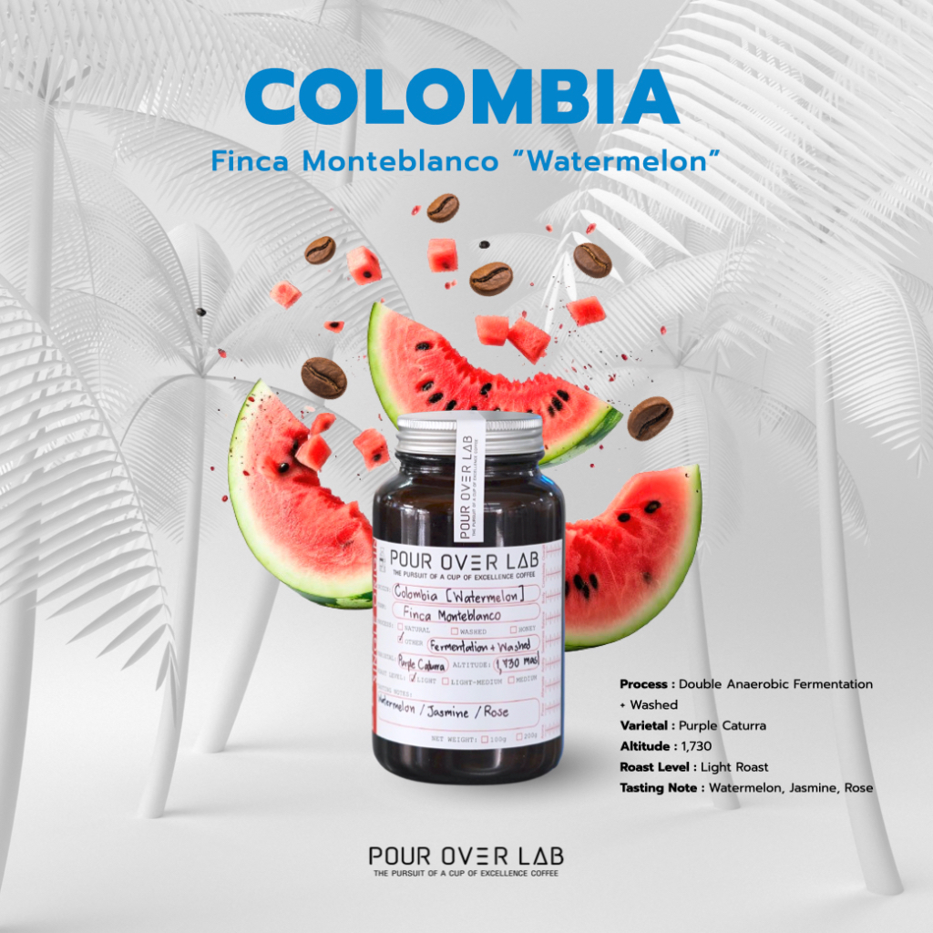 เมล็ดกาแฟ Colombia Finca Monteblanco “Watermelon” | POUR OVER LAB