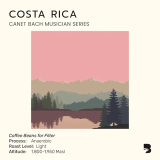 เมล็ดกาแฟ คั่วอ่อน - Costa Rica Canet Bach Musician Series