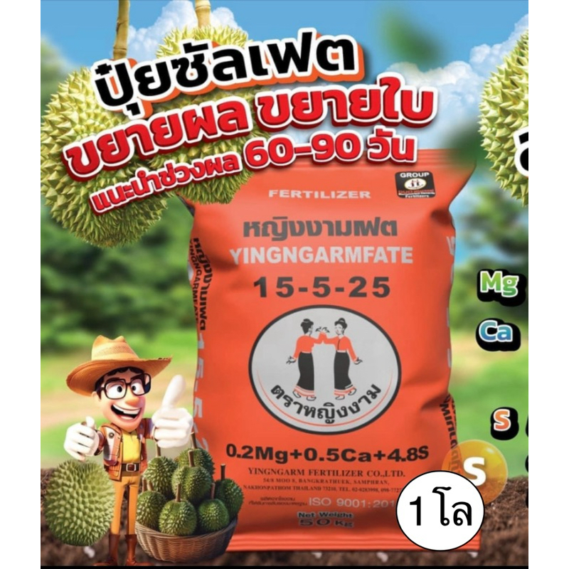 15-5-25หญิงงาม(แบ่งขาย1โล)