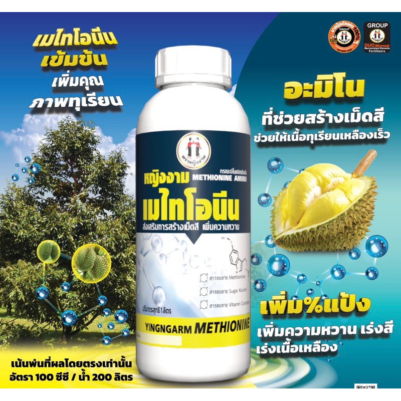 หญืงงามเมไทโอนีน 1 ลิตร หญิงงามเมไทโอนีนเข้มข้น  กรดอะมิโนที่ช่วยสร้างเม็ดสี ทุเรียนเหลืองเร็ว ช่วยการเพิ่ม%แป้ง เร่งสี