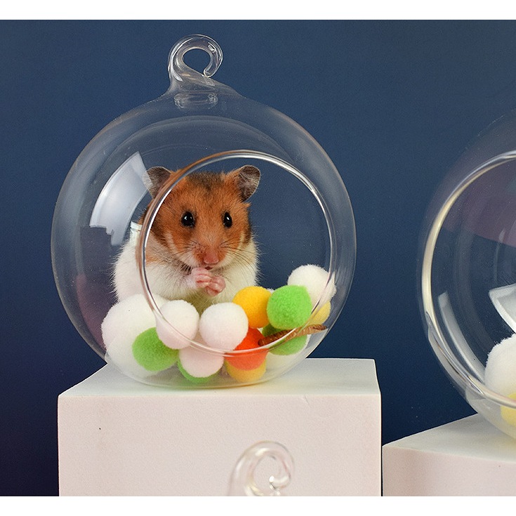 ของเล่นหนู ใส่ในกรงหนู อุปกรณ์แต่งกรงหนูแฮมสเตอร์ กระรอก ชูก้า สัตว์เลี้ยงขนาดเล็ก หลายขนาด