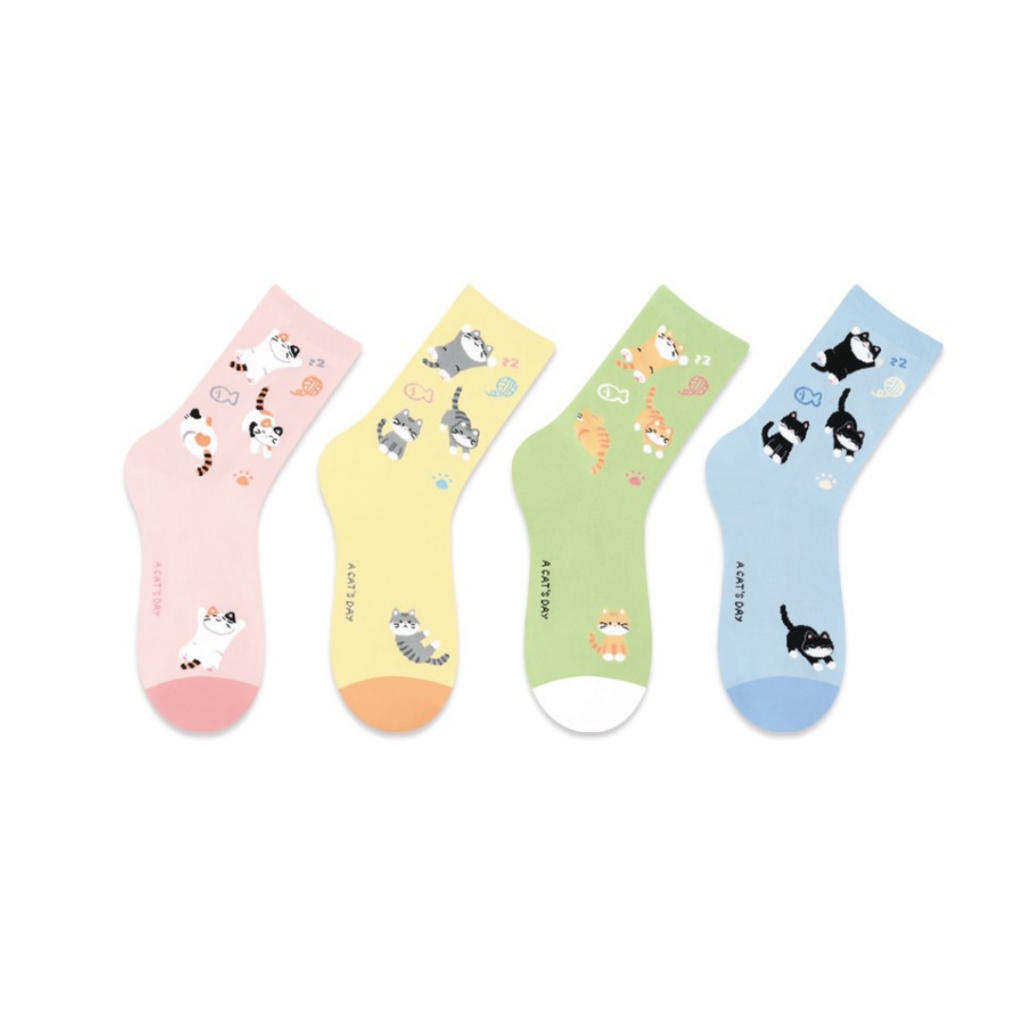 Chacha socks - ถุงเท้าข้อยาว Cat's Day Socks แบรนด์ kikiya socks ถุงเท้าเกาหลี