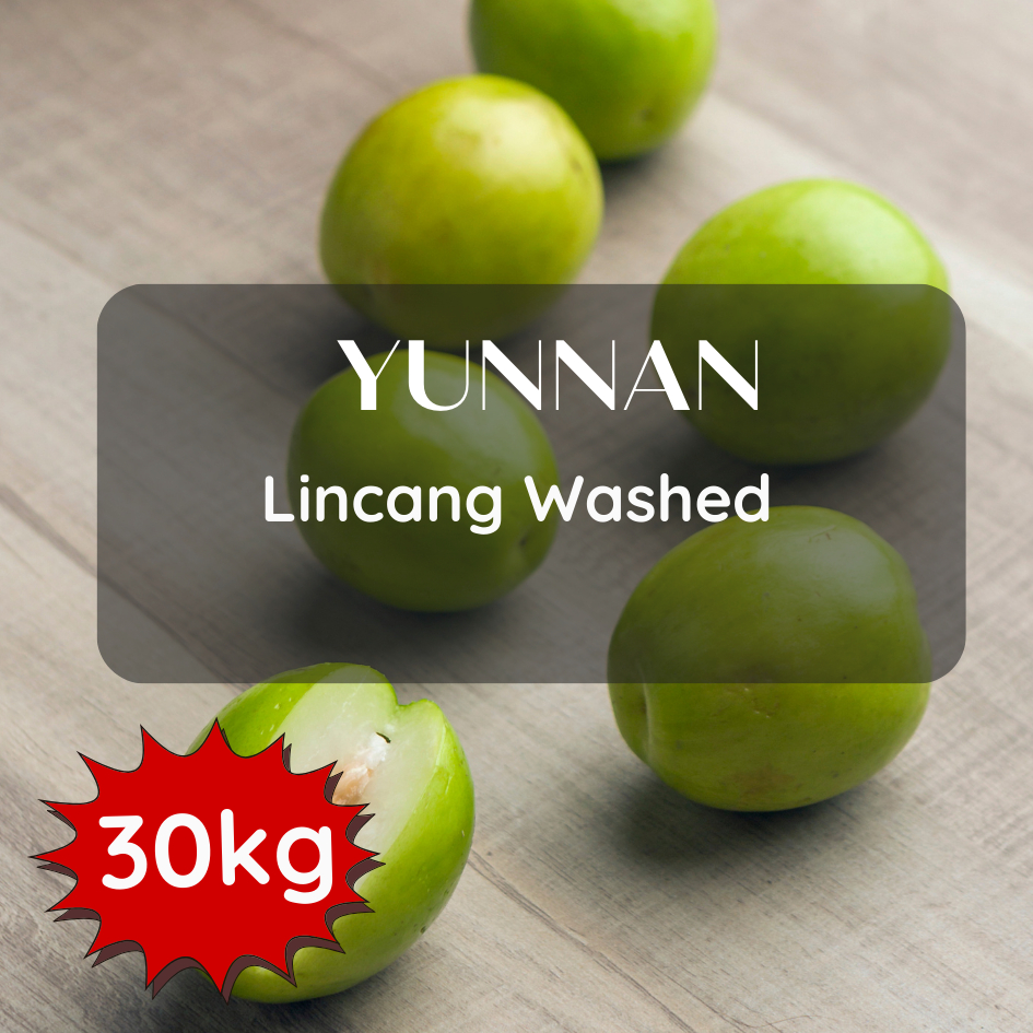 New Lot สารกาแฟ Yunnan Lincang Washed Process ขนาด 30kg