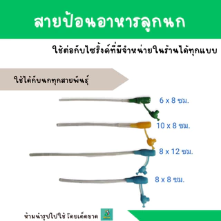สายป้อนอาหารลูกนก ใช้ได้กับนกทุกสายพันธุ์