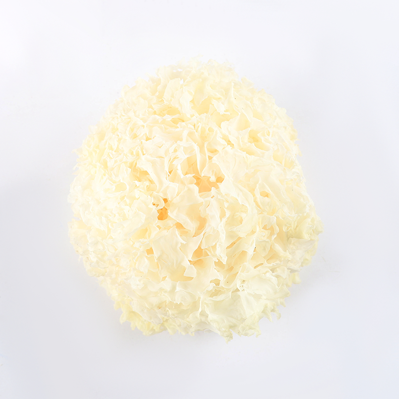 เห็ดหูหนูขาว 白木耳 500/1000กรัม． - รูปที่ 5