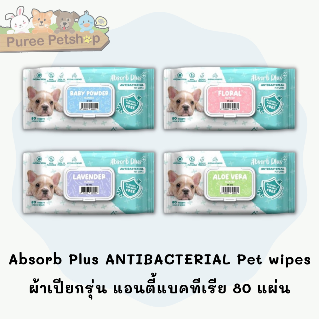 Absorb Plus ANTIBACTERIAL Pet wipes ผ้าเปียกรุ่น แอนตี้แบคทีเรีย 80 แผ่น