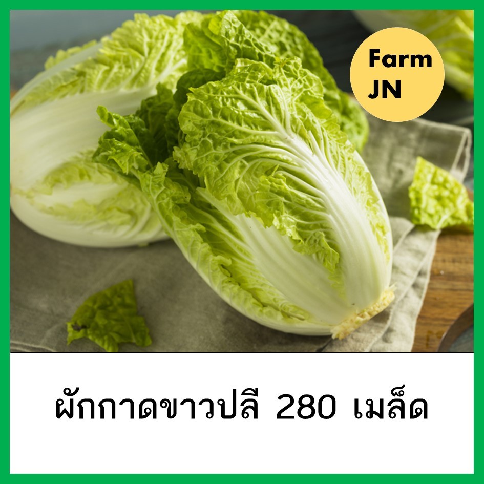 เมล็ดผักกาดขาวปลี 280 เมล็ด ผักสวนครัว เมล็ดผัก5บาท