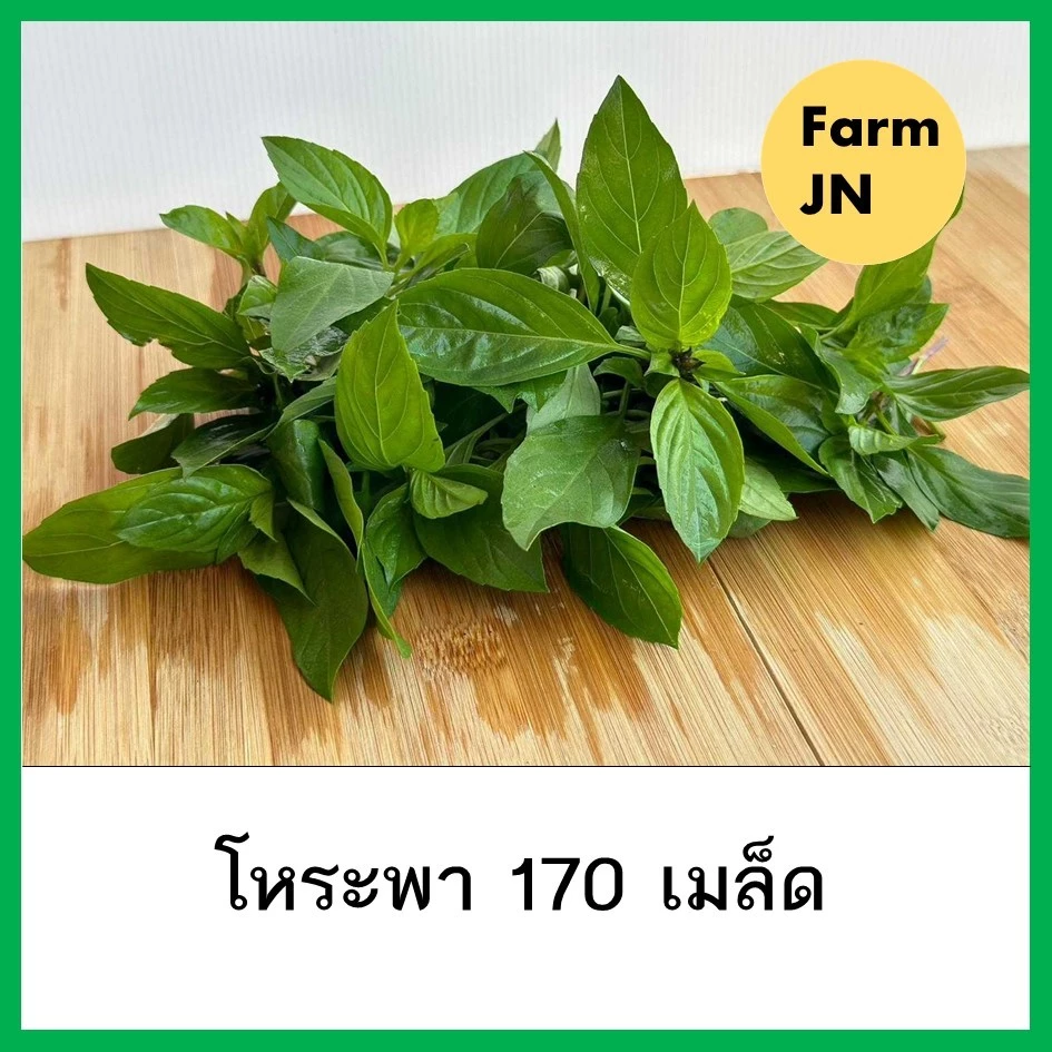 เมล็ดผักโหระพา เมล็ดผักสวนครัว เมล็ดผัก5บาท