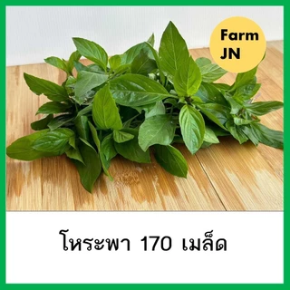 เมล็ดผักโหระพา เมล็ดผักสวนครัว เมล็ดผัก5บาท