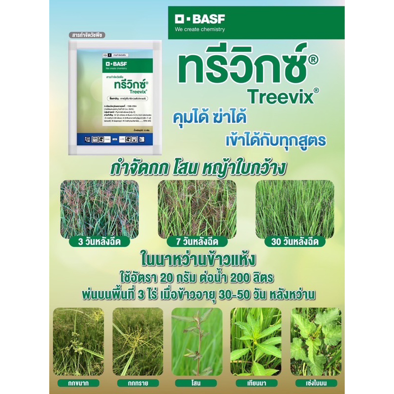 ทรีวิกซ์ 10 กรัม(ยกกล่อง 25 ซอง)70% WG คุมและฆ่า โดดเด่นในการกำจัดวัชพืชที่มีเมล็ดใหญ่ เช่น หญ้ายาง และโสน วัชพืชใบกว้าง