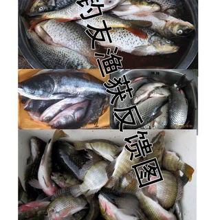 เหยื่อตกปลา หัวเชื้อผงเร่งกิน โคตรหอม (80g) เร่งกิน เร่งฝูง กระตุ้นการกินของปลา