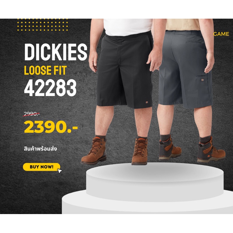 Dickies 42283 loose fit | Size 28-60
