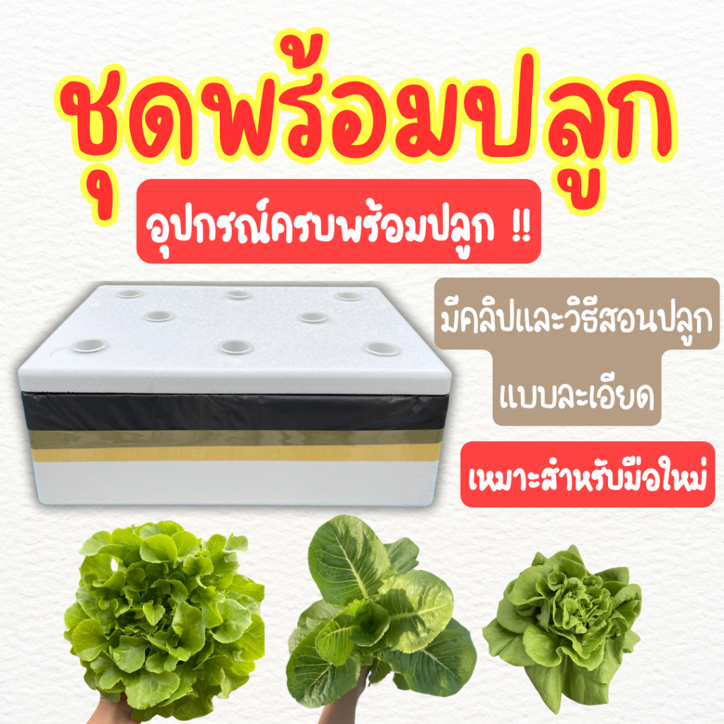 ชุดปลูกผักไฮโดรโปนิกส์ อุปกรณ์ครบ พร้อมปลูก (**ได้เมล็ดผัก 3 ชนิด**)