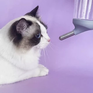 😺Hipetime offical shop😺ตู้กดน้ํากรงสัตว์เลี้ยง 350ml/500ml ขวดน้ํากระต่าย, ขวดน้ําแมว