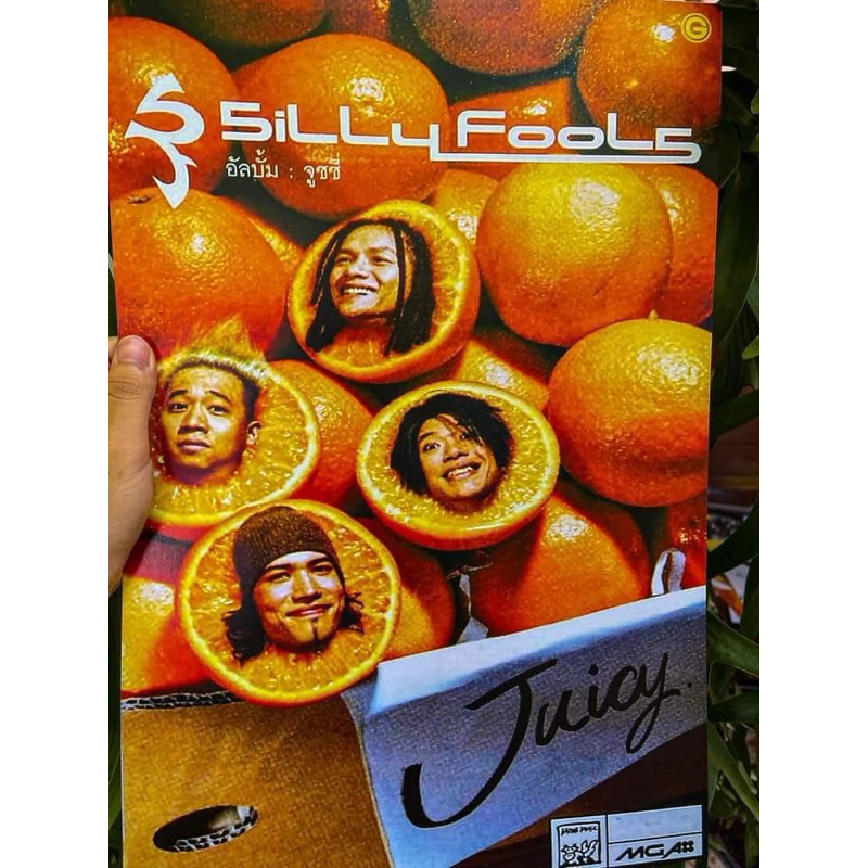 โปสเตอร์หนัง  Poster Silly fools Juicy