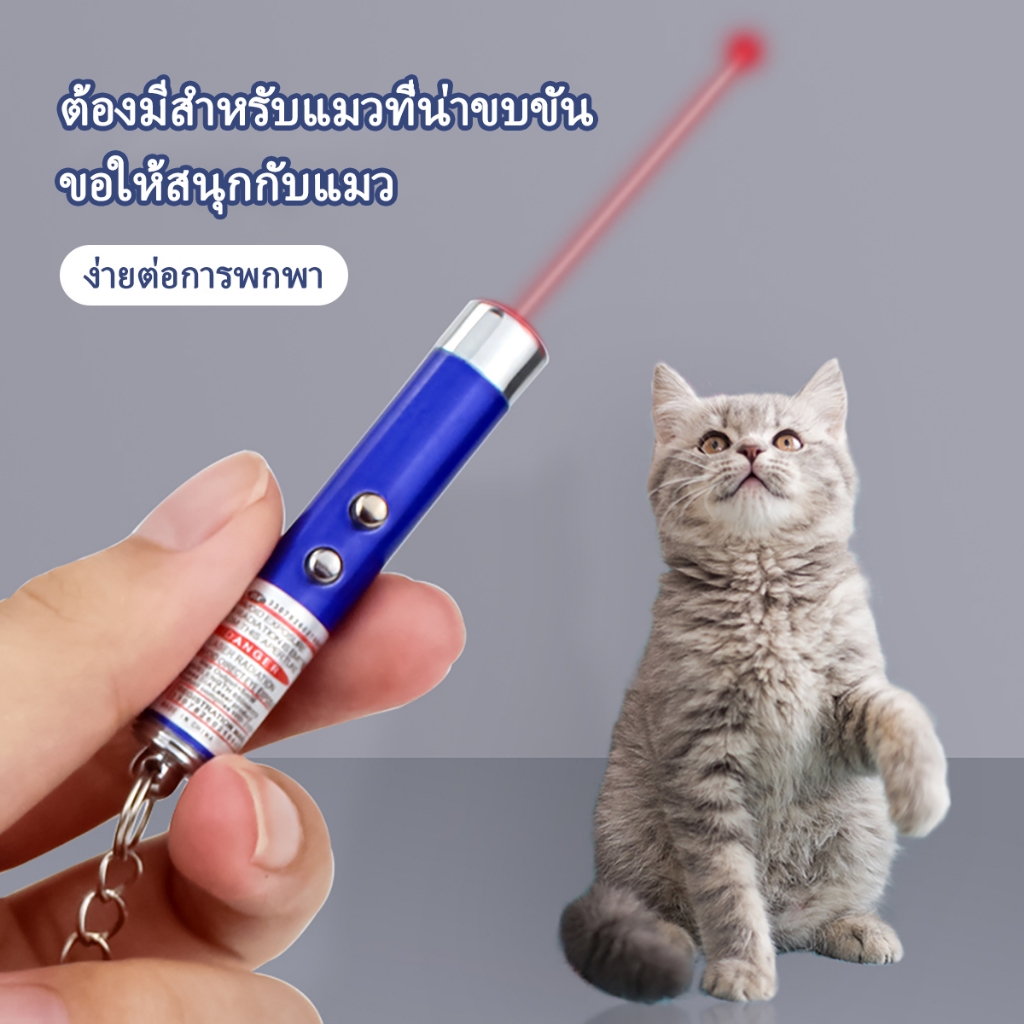 รูปภาพ 3