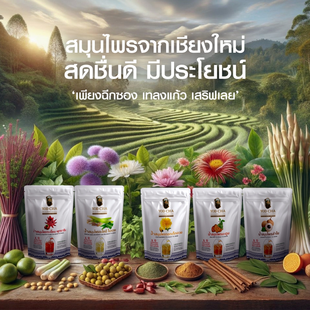 เครื่องดื่มน้ำสมุนไพรพร้อมดื่ม (180 ml.X 10 ถุง)