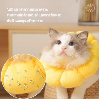 คอลล่าแมว กันเลียแมว ลําโพงแมว กันเลีย ลําโพงหมา ปอกคอแมว คอล่าแมว คอลล่าสุนัข คอลล่า คลอล่าแมว