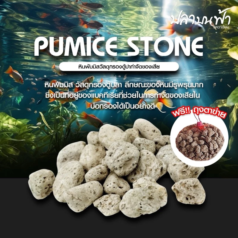 หินภูเขาไฟ (พร้อมถุงตาข่าย 1 แถม 1) ขนาด 200 กรัม 500 กรัม และ 1000 กรัม ฝุ่นน้อย ใช้เป็นวัสดุกรอง หรือรองพื้นตู้ได้